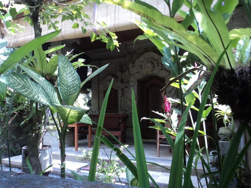 Villa Bhuana Alit Убуд Экстерьер фото