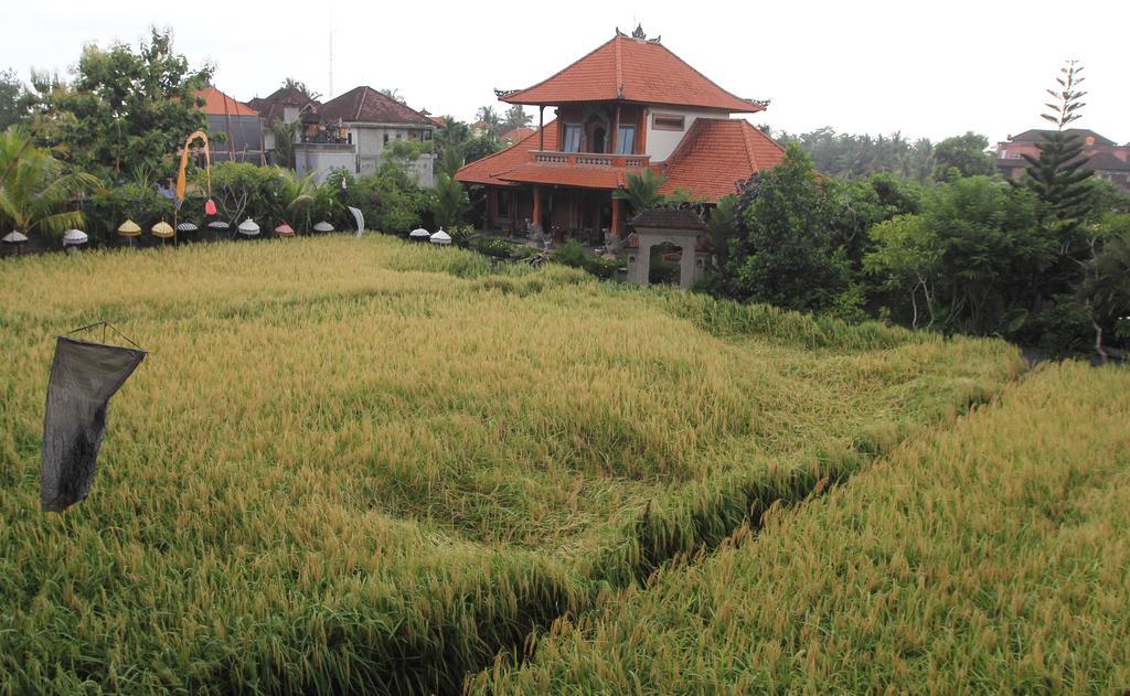 Villa Bhuana Alit Убуд Экстерьер фото